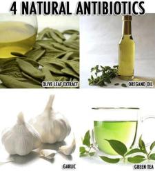 naturlig antibiotika